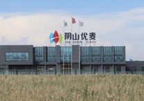 權(quán)威！陰山優(yōu)麥被認證為“中國有機燕麥第 一品牌”